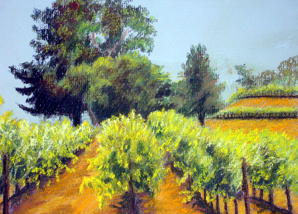 Benziger Vineyards