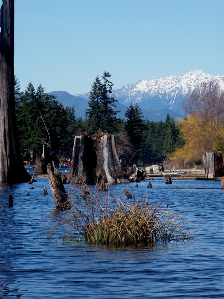 Kayak's View