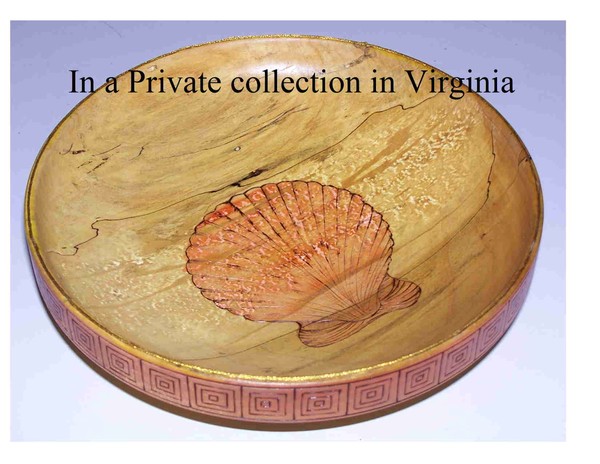 Chesapeake bay Scallop - SOLD
