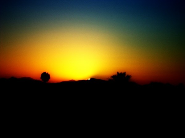 dawning 4