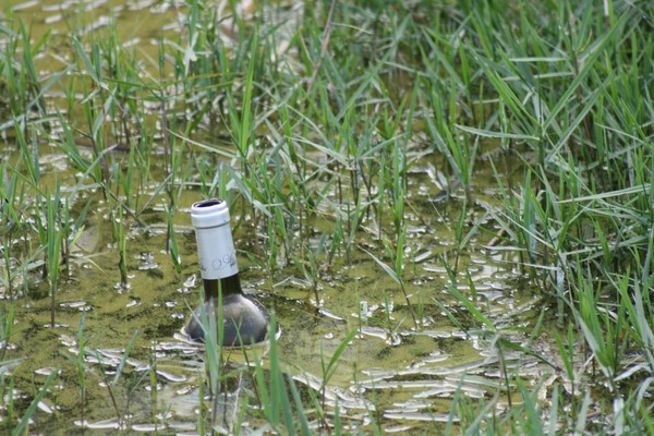 Message in a Bottle