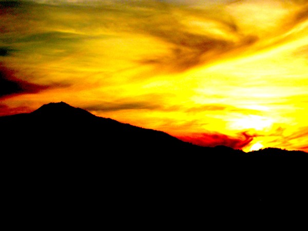 Mt Tam Sunset Bursting with life