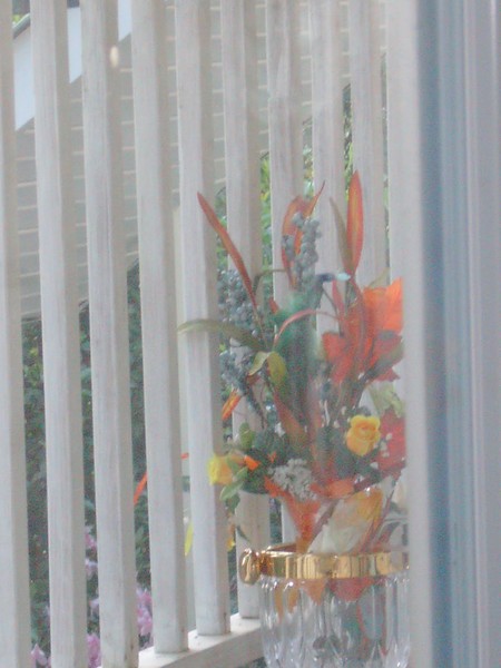 Peaceful day on the balcony