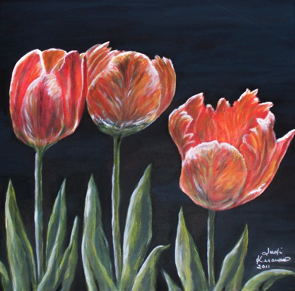 Red Tulips