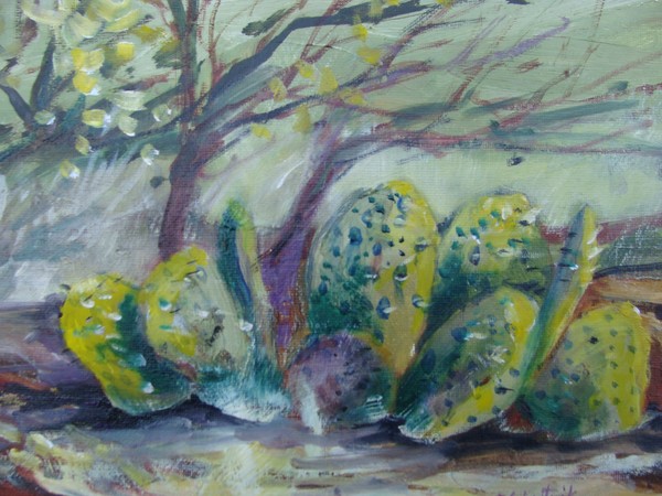 In the Oro Valley