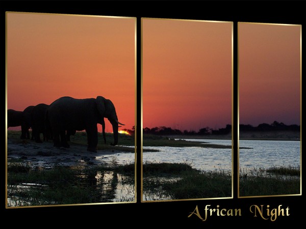 African night
