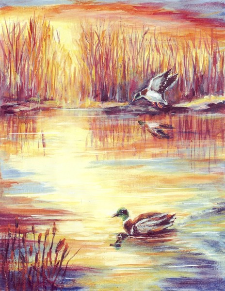 Water's Edge