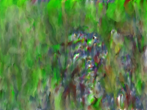 Mystic Forest