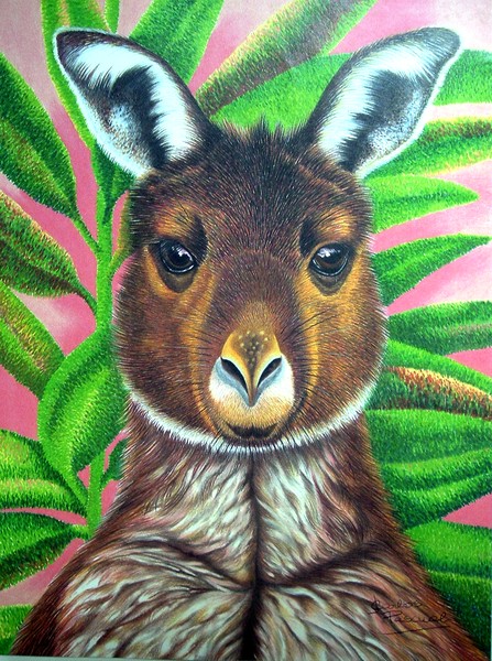 Gray Western Kangaroo
