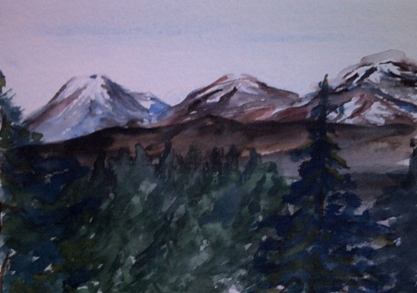Olympic Mountain View
