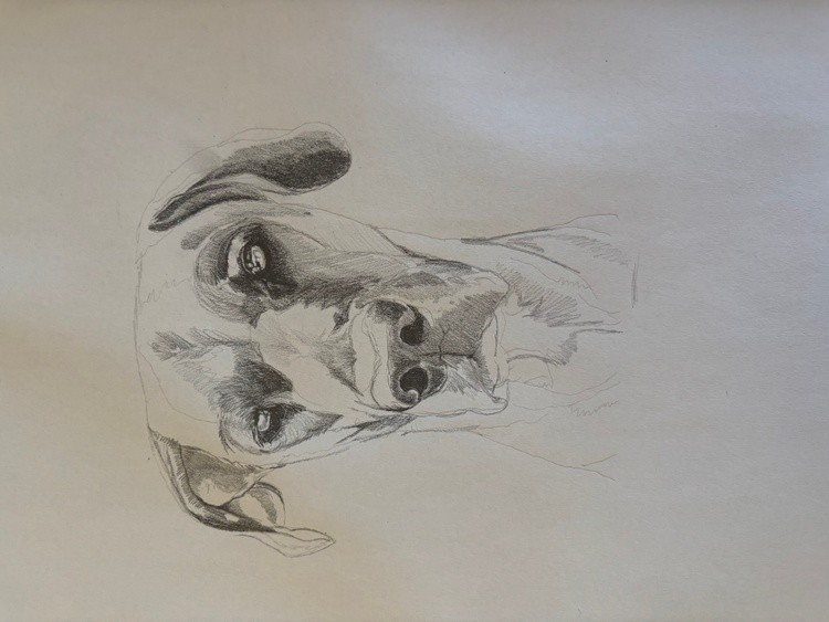 The start of something new…