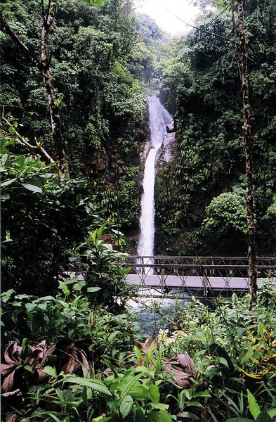 Water Fall