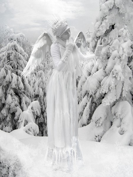 Winter Guardian