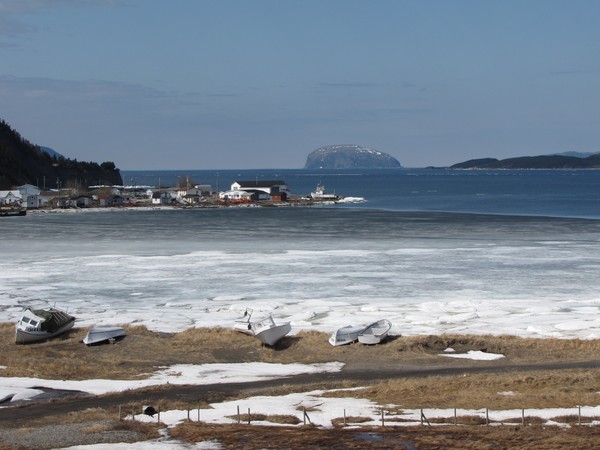Ice In The Cove