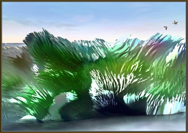 Windy Day