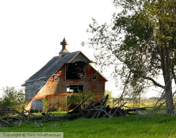 Old Barn 1, ne1114