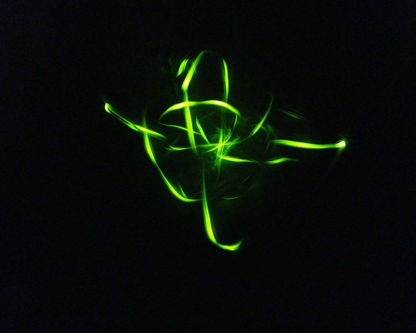 Firefly Dance 1760 11x14 Print