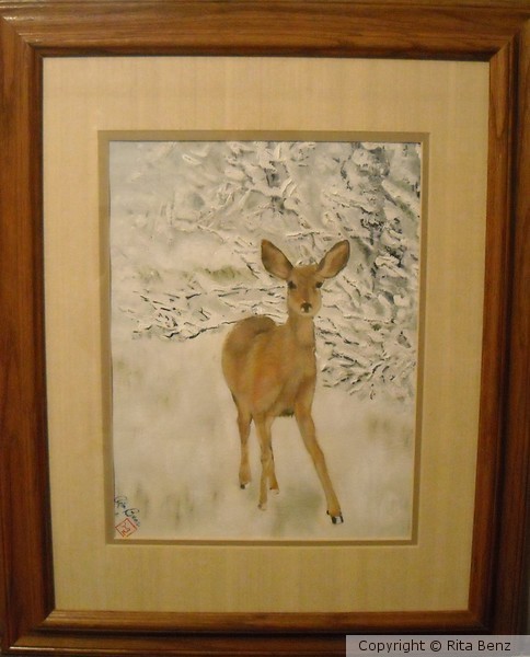 Fawn
