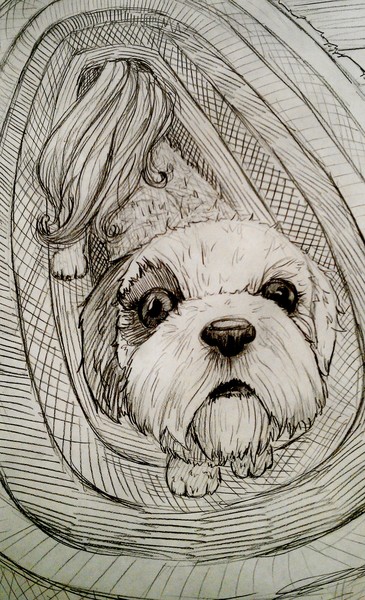 Pet Commission