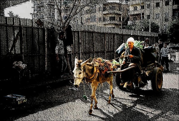 Donkey Cart