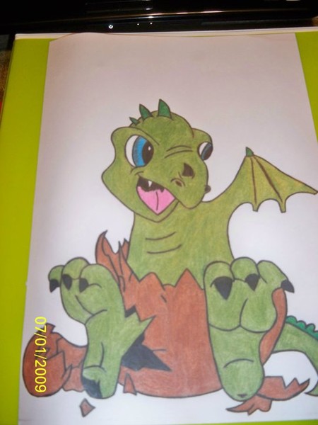 Baby Dragon