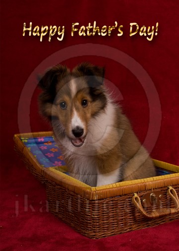 Father's Day Puppy 919136