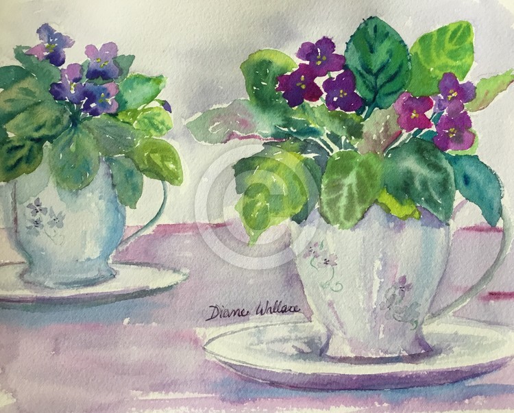 Violets and Tea Cups