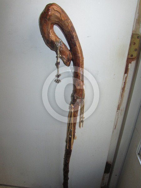 WORM WOOD CANE WORMS HAVE CARVED LOVELY DESIGNS IN