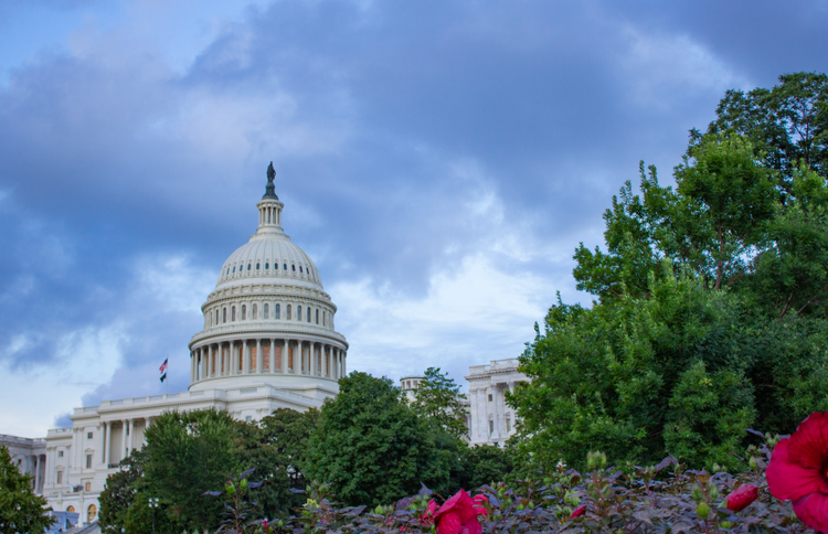 US Capital with Red Flowers