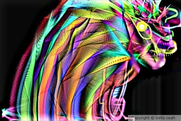 rainbow dragon