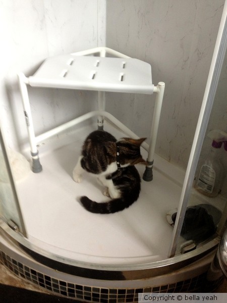 castiel takes a morning shower!