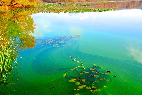 Rockland Lake 