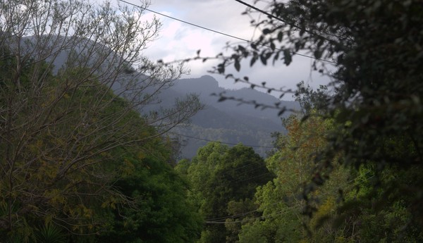 DSC 0183