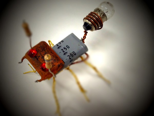 computer bug