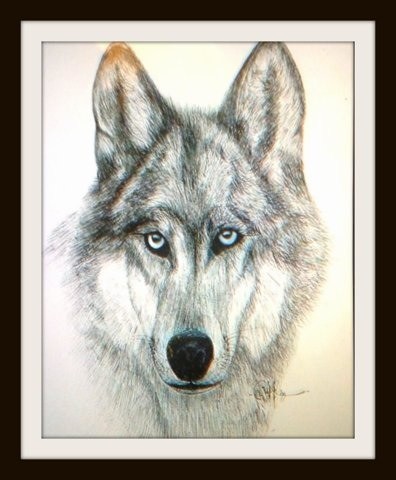 The Wolf for my friends The Wolffs 