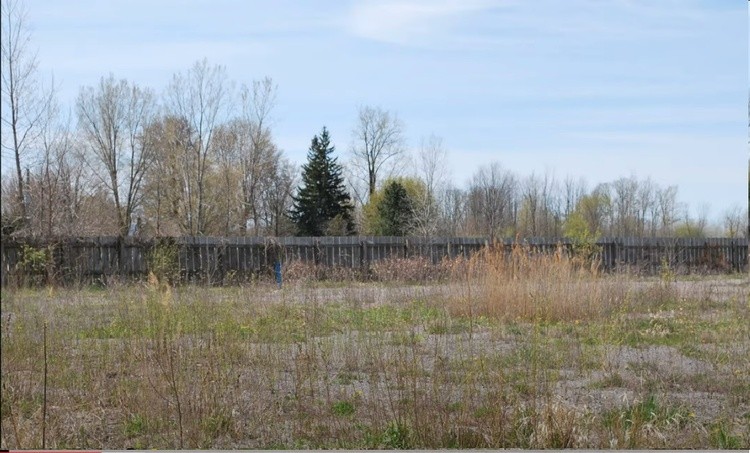 Dunnville Forest 9