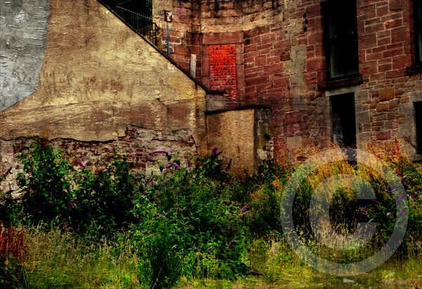 Forgotten 