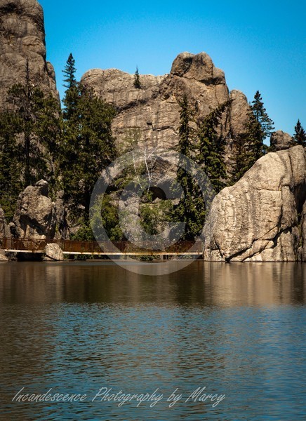 Custer State Park, SD