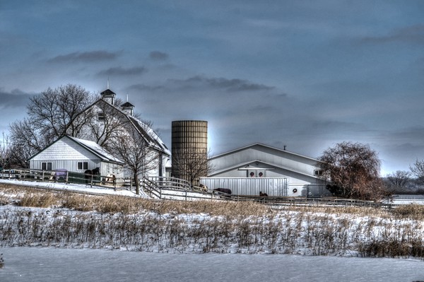 Horse Farm