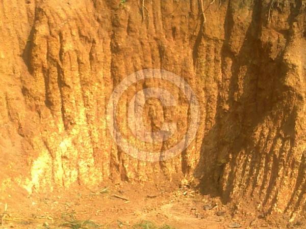 Brick earth