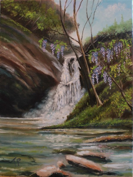 Waterfall Wisteria