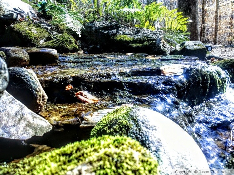 Spring stream