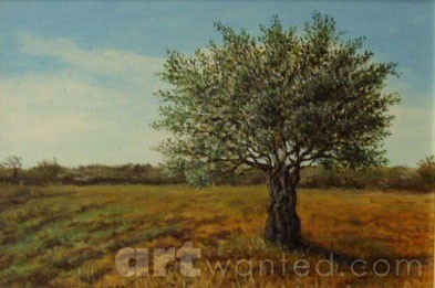Olive trees