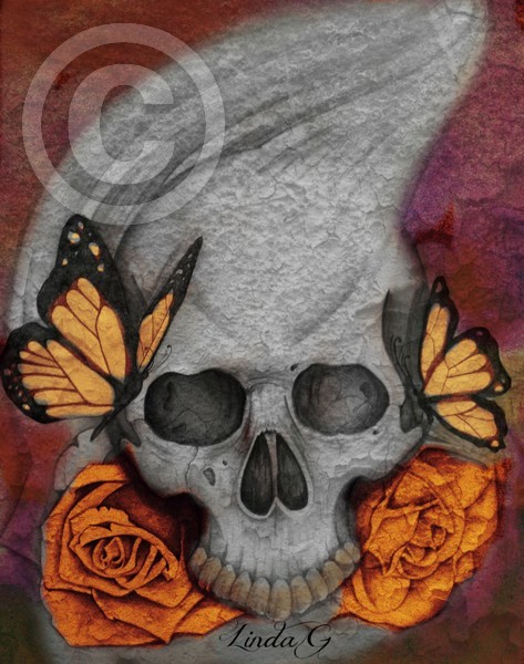 Butterflies by a Skull
