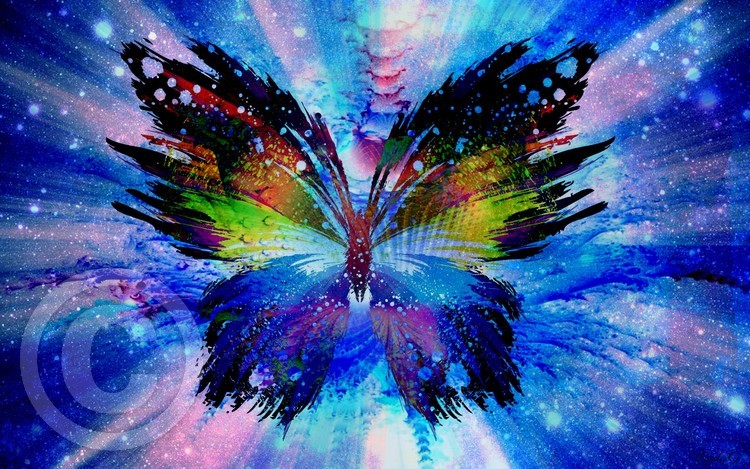 Butterfly in the Storm