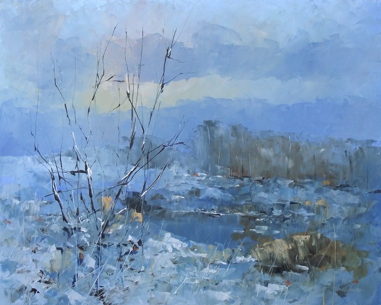Perception of snow