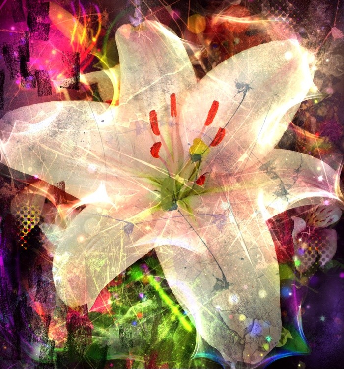 5A5F32D5-C008-4F3C-A9DF-F68E656B38D6