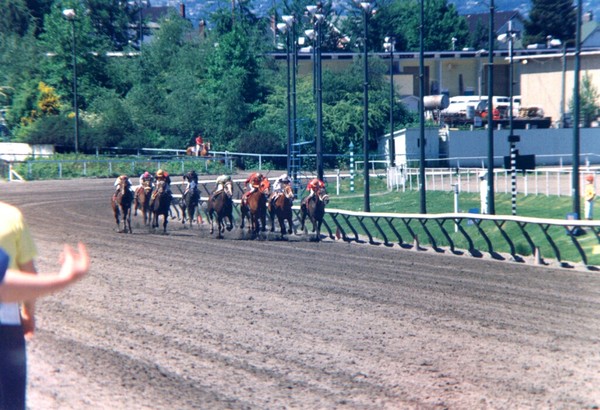 Hastings Park Horse Racing