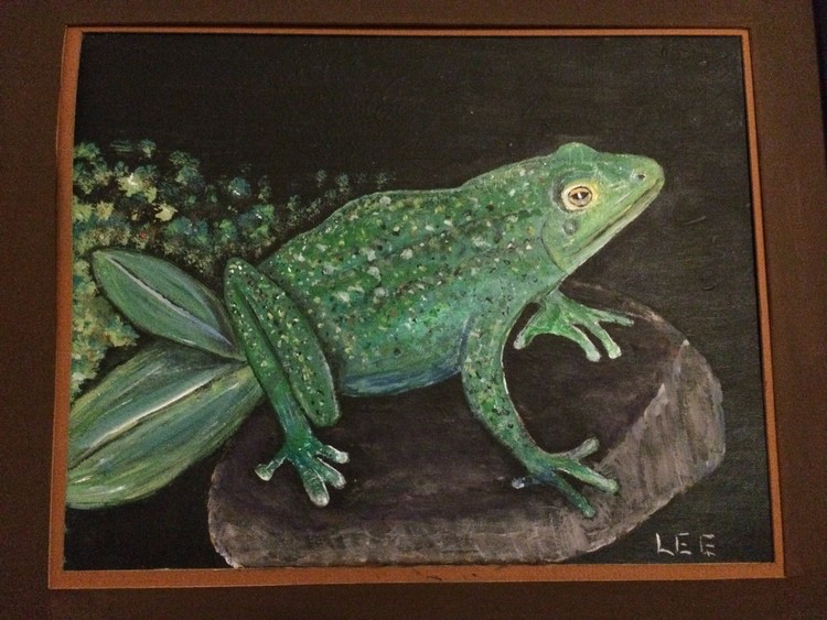 Frog on Stone