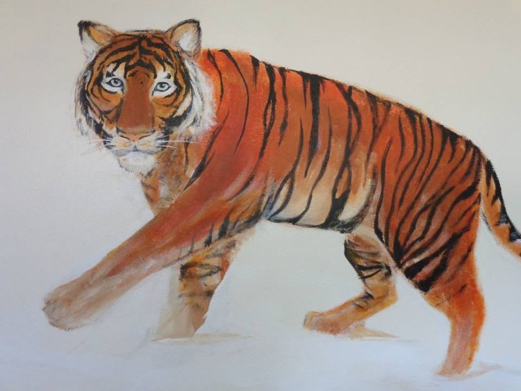 Tiger